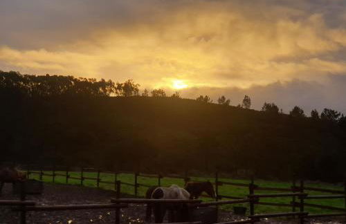 Sondela Self Catering - Foto 16