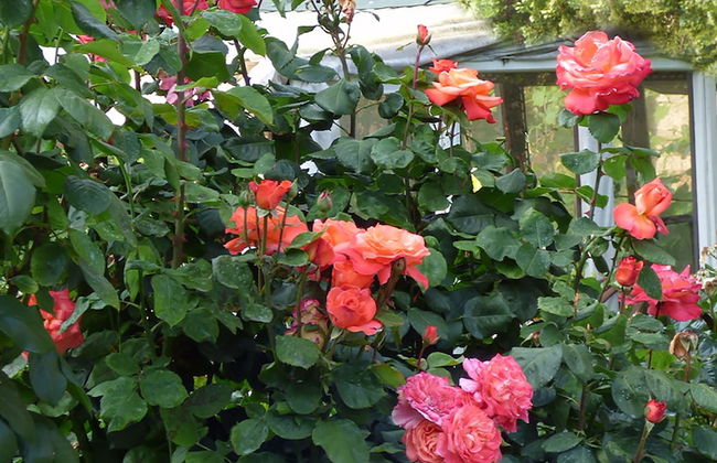 Villa Aida - Foto 64