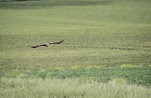 Agriturismo bio Verde Armonia - Photo 45