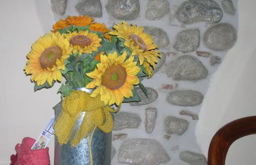 Agriturismo Colombarola - Foto 24