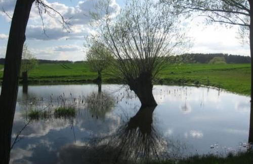 Apartment Brennerei Haselberg by Interhome - Foto 19