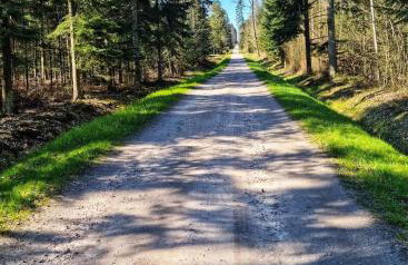 Skrawek Nieba Mostki - Foto 16