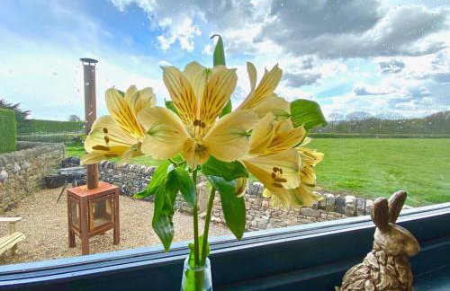 Oak Tree Retreat - Photo 16