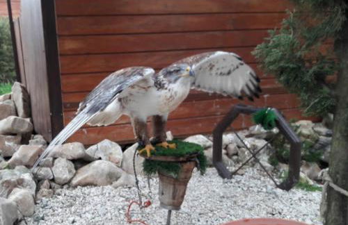 Wonderful apartment in Costa Del Sol - Foto 48