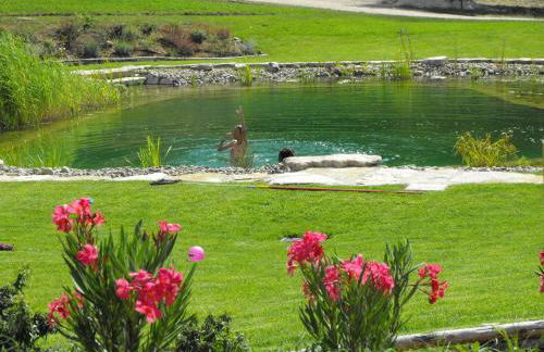 Sasseta Alta - Foto 14