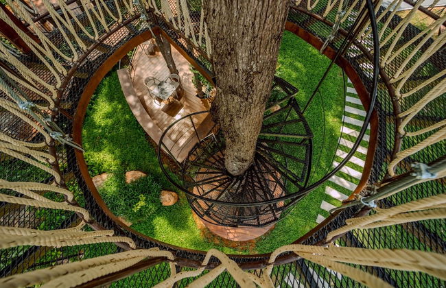 High Tree Resort Co.,Ltd. - Photo 39