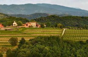 Agriturismo l'Uva e le Stelle - Foto 38