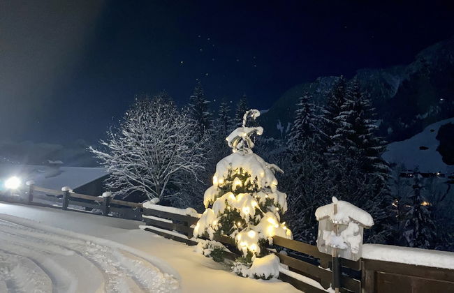 Alpbach Bergwald - Foto 47