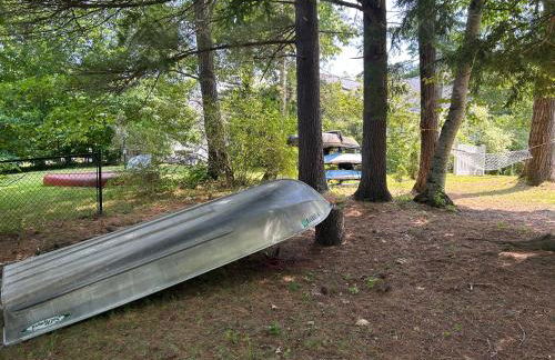 Adirondack Waterfront Cabin Upper Hudson Tributary - Foto 12