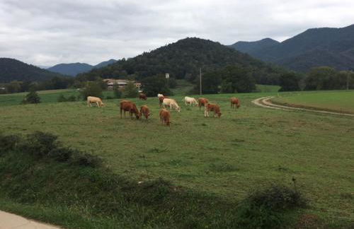 Casa Can Boix - Foto 100