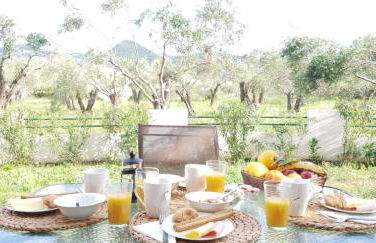 Corfu Olivia Apartments - Foto 22