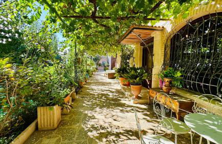 Finca El Rosario - Foto 13