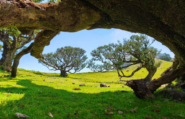 Enchanted Terraces Half-Day Trip - Photo 14