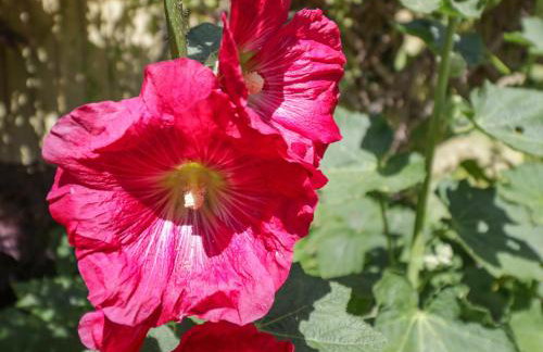 Sea Change - Foto 33