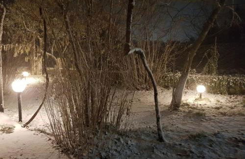 Etna, salvia e rosmarino - Foto 41