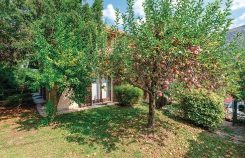 Villa Primula - Foto 9