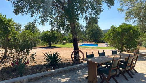 Quinta da Meda - Foto 3, Garden