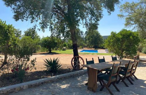 Quinta da Meda - Foto 3