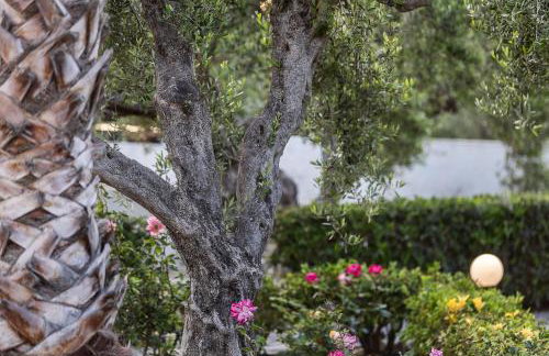 Villa Grambella - Photo 6