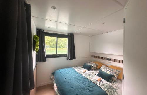 House Boat avec SPA naviguant en Champagne - Foto 7