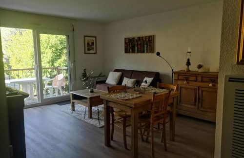 Appartement rénové proche de Luz Saint Sauveur 1chambre et 1 coin cabine - Foto 8