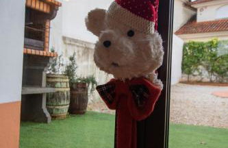 casinha do corvo - Foto 43