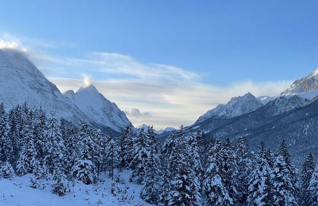 Holiday Apartment Alpengluhen - Foto 35