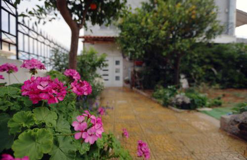 House in riviera lagonisi - Foto 36