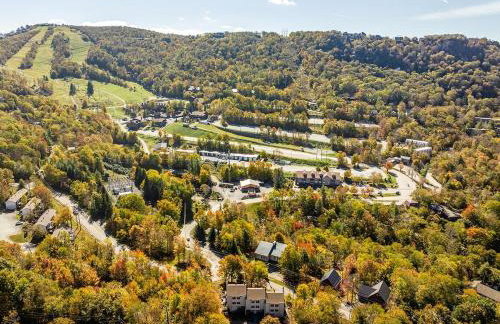 Beech Mountain Escape with Views - Foto 39