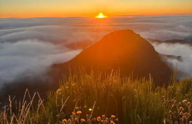 The Green Valley House - Foto 79