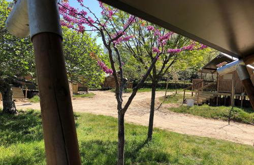 Veragua. Glamping y Apartamentos turísticos - Photo 18