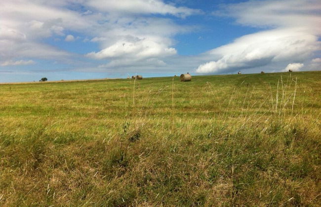 Yellow House Modern Retreat - Foto 22