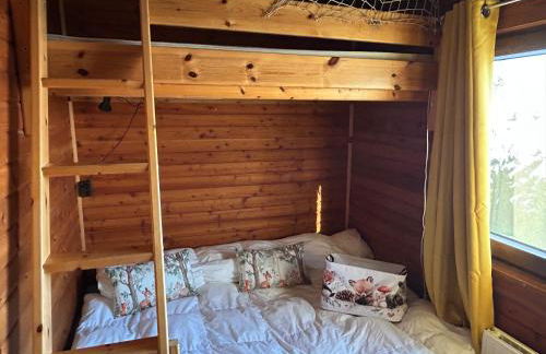 Harzer Sonnenalm - Foto 30