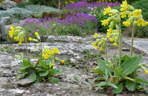 1 Bed in Taunton oc-49569 - Foto 11