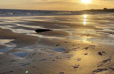 Helena Cottage - Foto 16