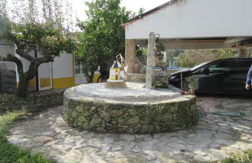 Quintal do Freixo - Country House - Photo 13