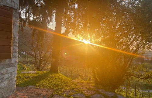 Vite in Rosa La Casetta - Foto 20