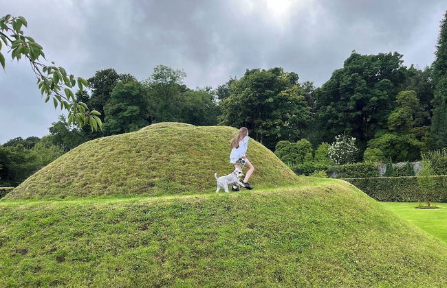 Ocean View Pods - Foto 41