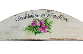 Pizzicalaluna Agriturismo Olistico sulle Colline di Pianoro - Photo 67