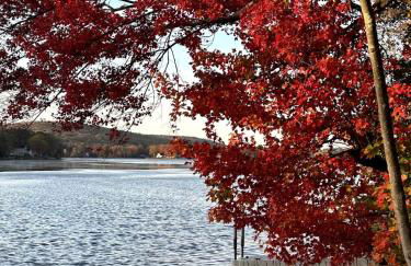 Paddle Point - Foto 59