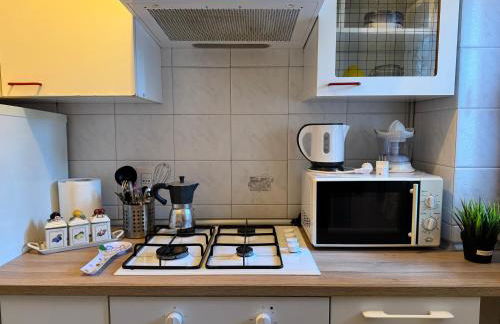 Casa Kolbe 8 , Milano centro M4 - Foto 41