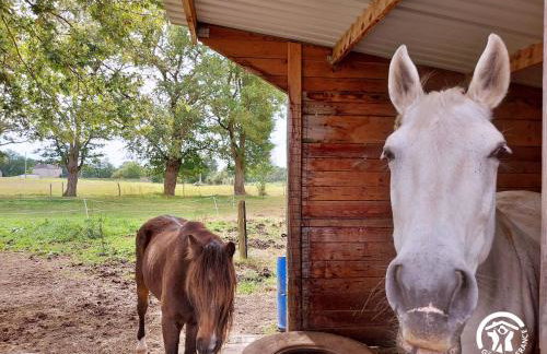 La Pichardière - Foto 37