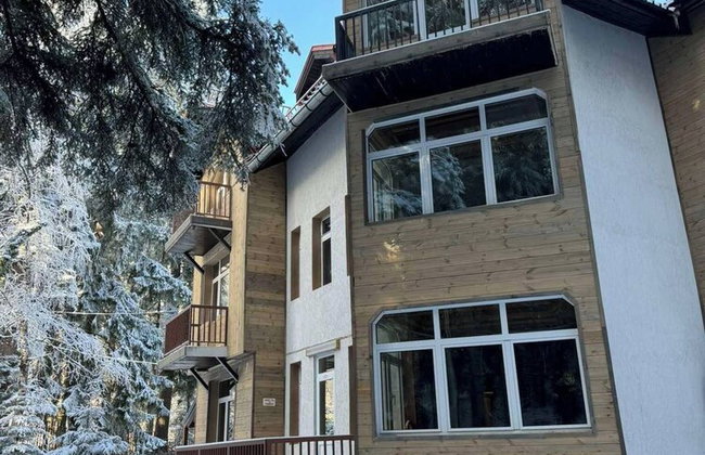 The Luxurious Forest Villa Borovets - 8 Bedroom Chalet - Foto 47