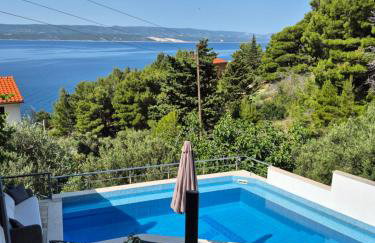 Apartman Traper with sea view and private pool - Foto 2