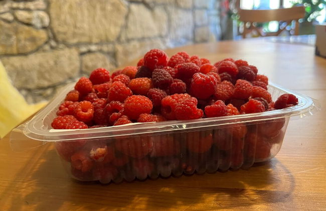 Pension Zelený grunt - Photo 40