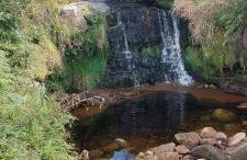 The Bungalow - Foto 9