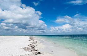 Beautiful Modern House with Private Saltwater pool - Foto 48