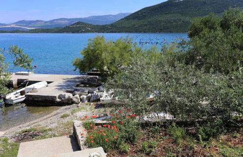 Apartments by the sea Zuronja, Peljesac - 10137 - Photo 7