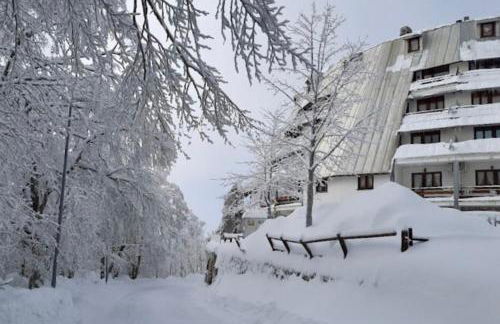 Appartamento Il Riccio Terminillo - Foto 13