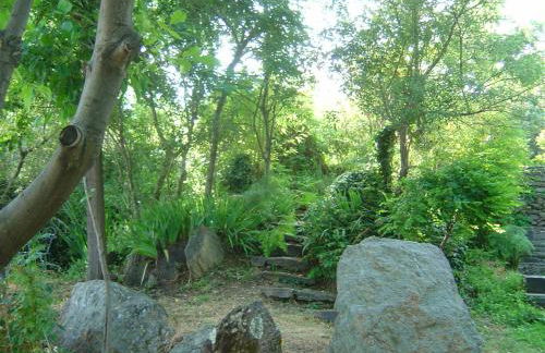 Cortijo Prado Toro - Foto 56